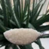 Wholesale Refined Sugar (Icumsa 100) - Image 2